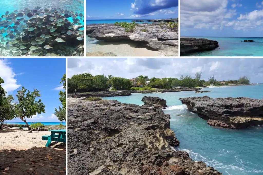 Smith Cove Grand Cayman snorkeling, rocky coastline and clear Caribbean water