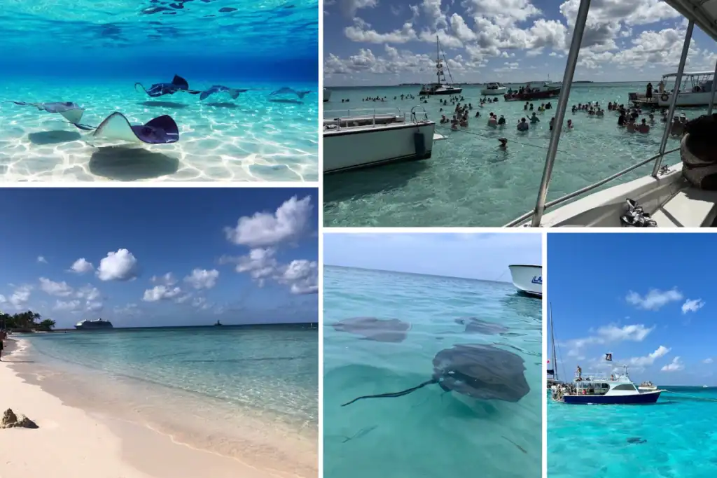 Stingray City Grand Cayman cruise excursion with stingrays swimming in clear Caribbean water